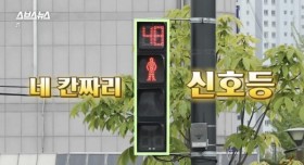 한국인들이 그토록 바라던 신호등 출시